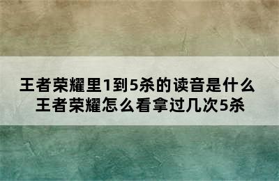 王者荣耀里1到5杀的读音是什么 王者荣耀怎么看拿过几次5杀